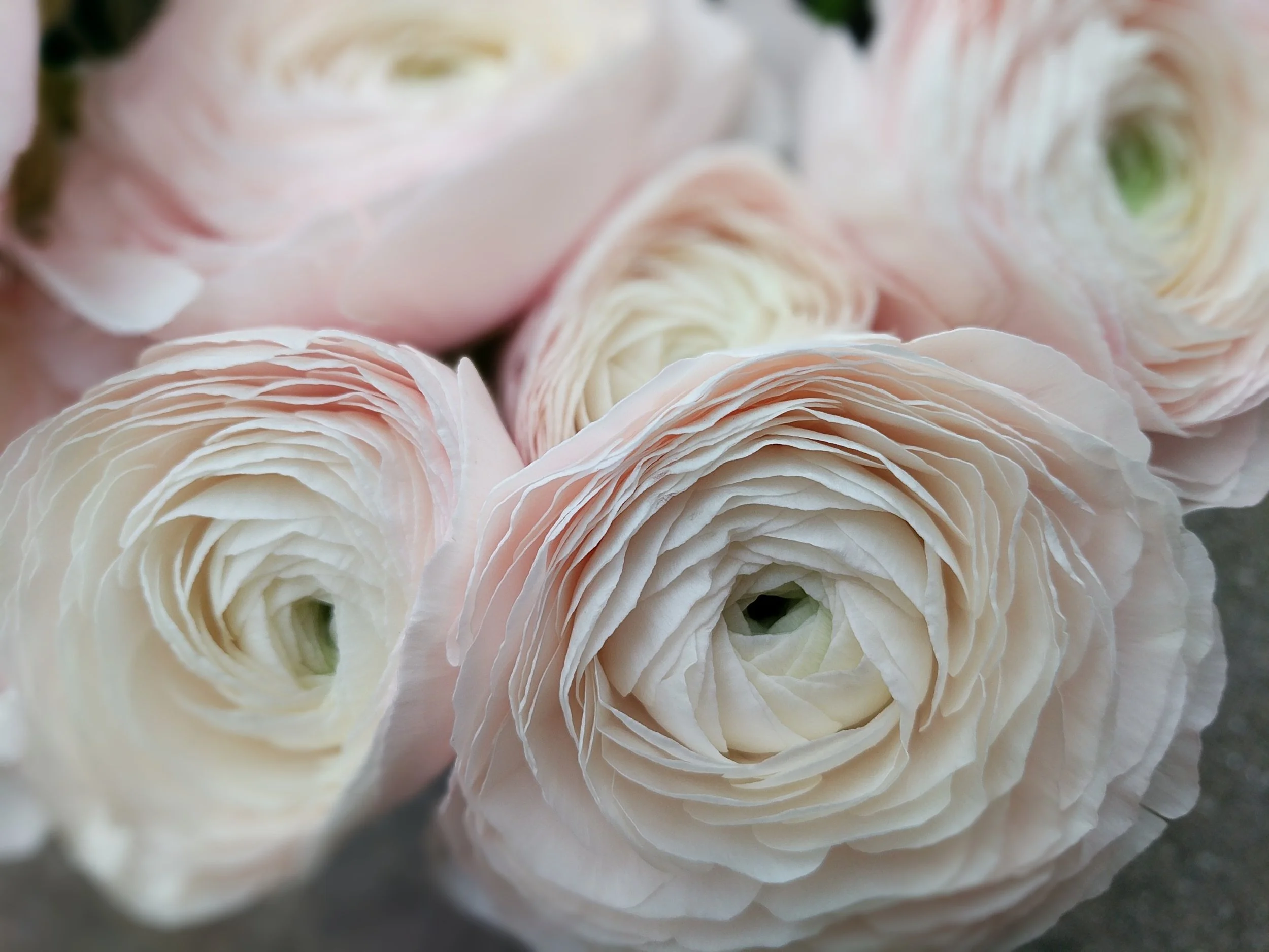 2017 Wedding Flowers at the Pink Bride Show Chattanooga