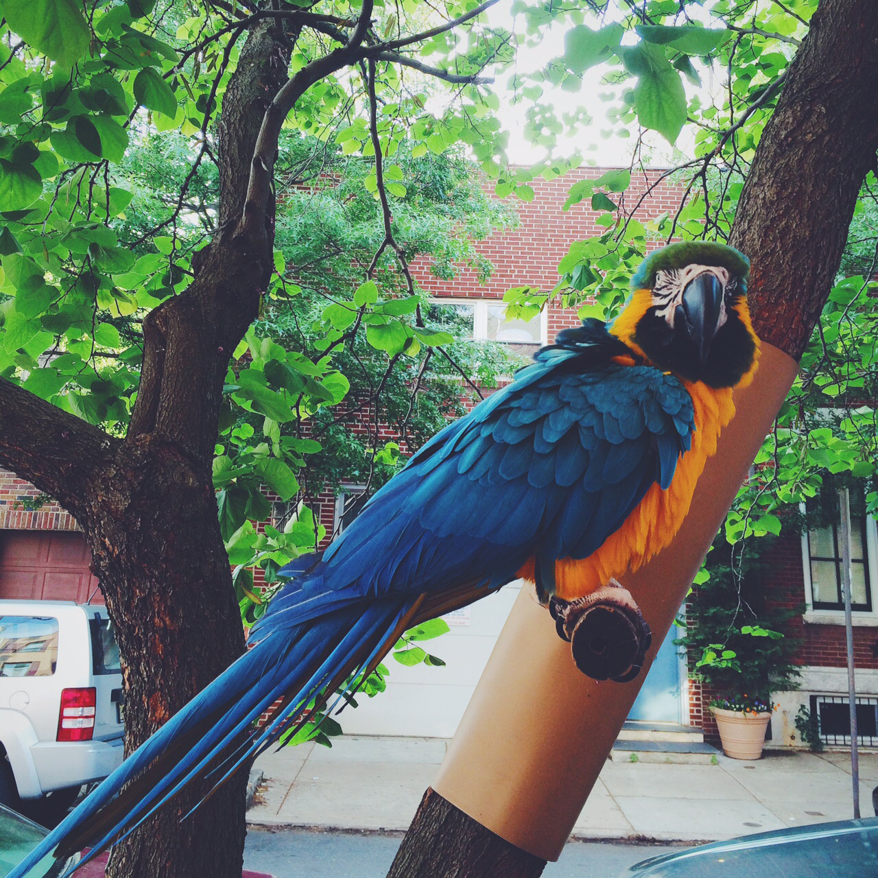 Processed with VSCOcam with f2 preset