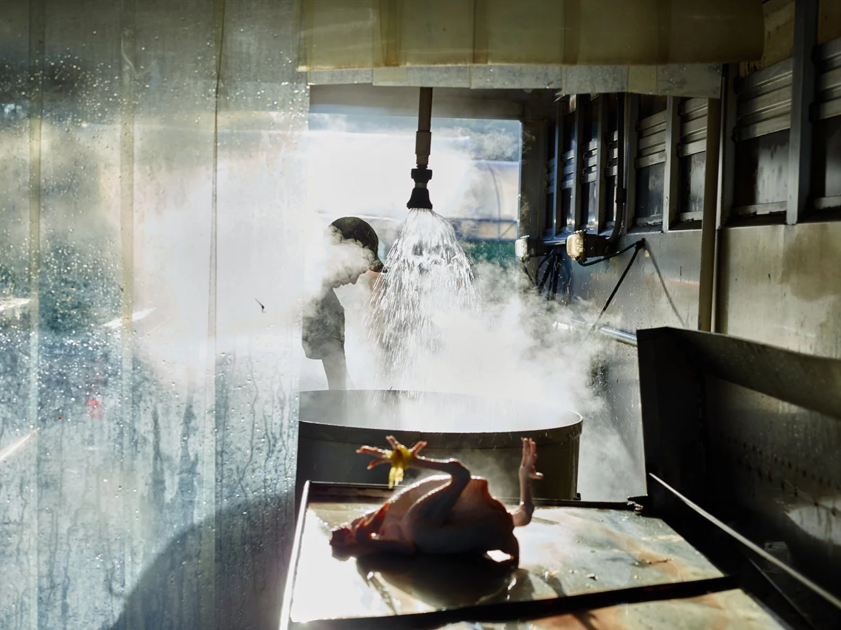 Food Photography by Food Photographer Felicia Perretti, New York, Philadelphia