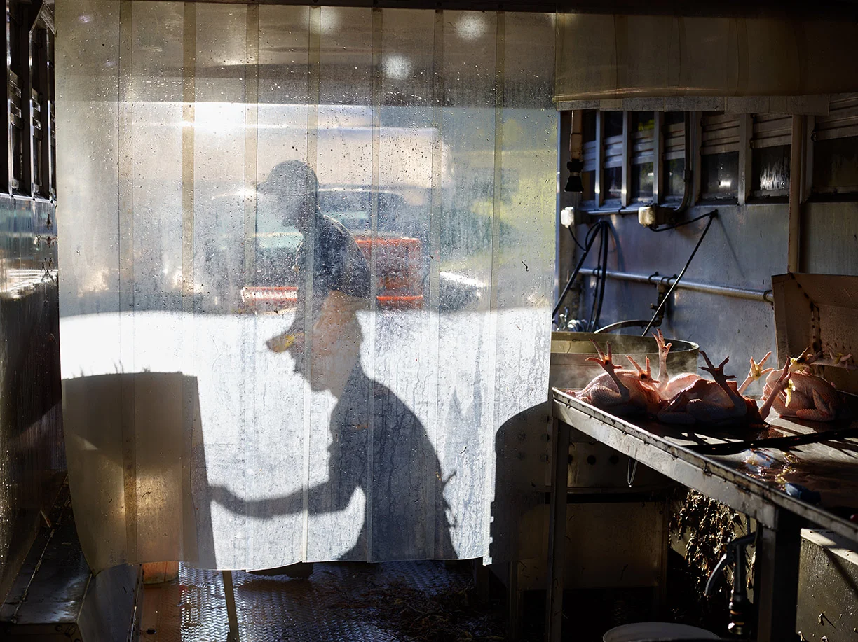 Food Photography by Food Photographer Felicia Perretti, New York, Philadelphia
