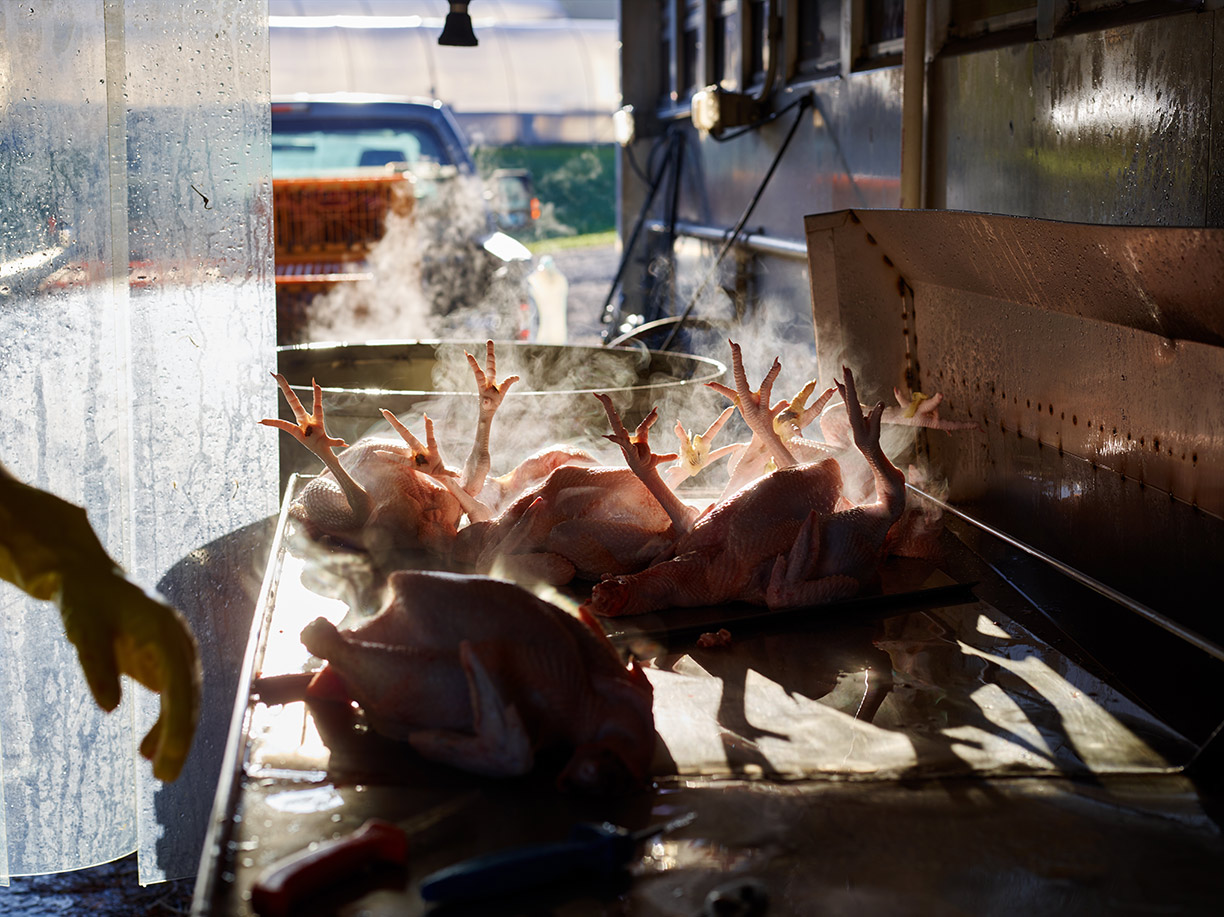Food Photography by Food Photographer Felicia Perretti, New York, Philadelphia