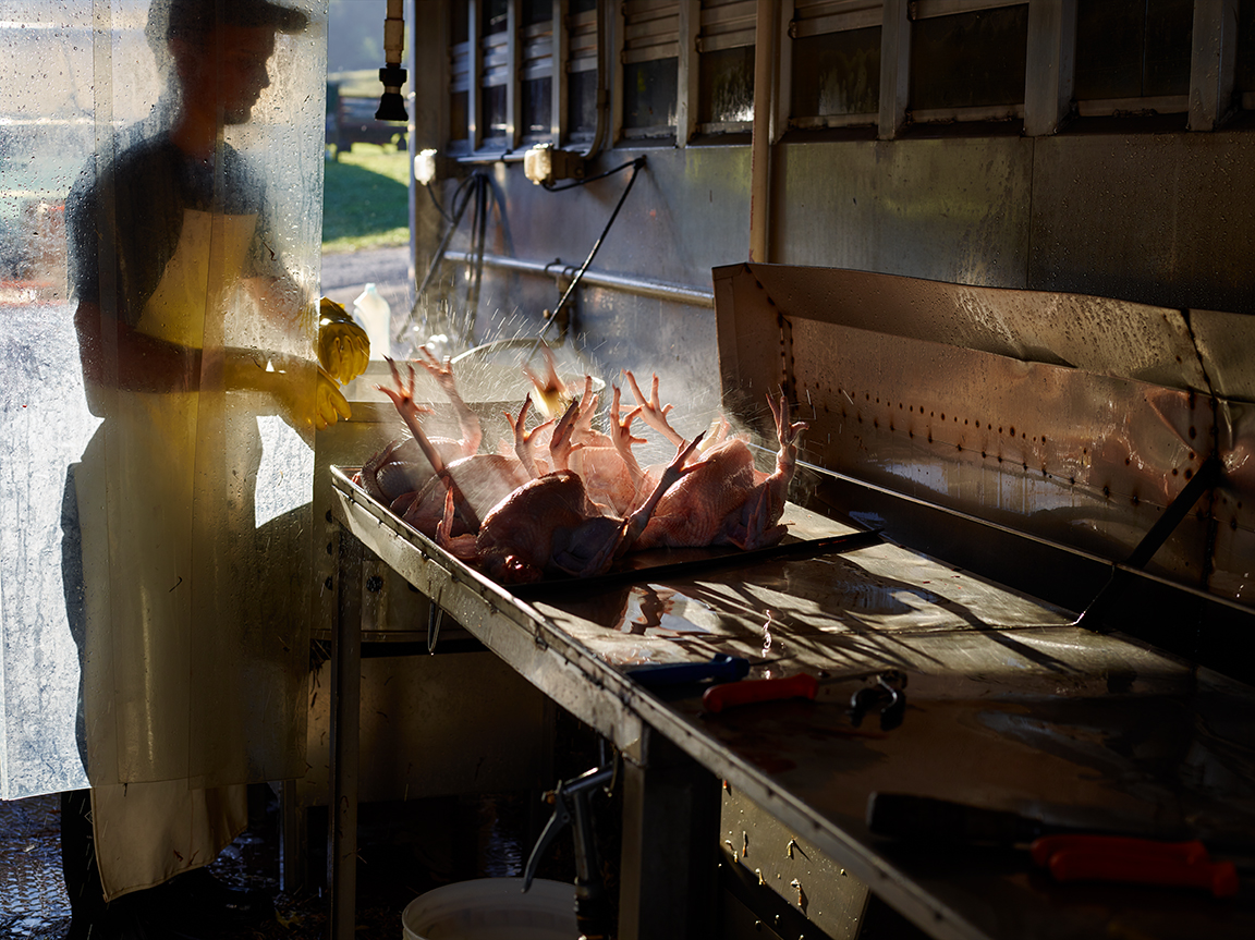 My Winning Photo for The Culinary Trust Award for Food Photography That Makes a Difference
