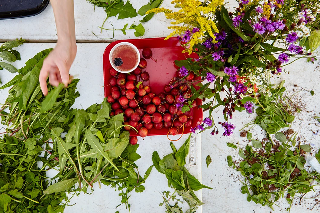 Food Photography by Food Photographer Felicia Perretti, New York, Philadelphia