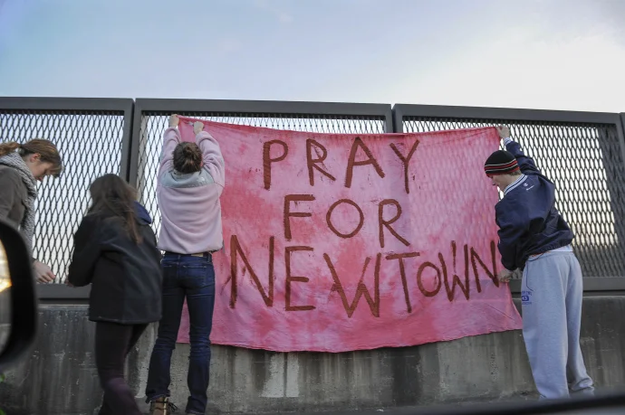 Gopnik-Newtown-Gun-Control-690.jpg