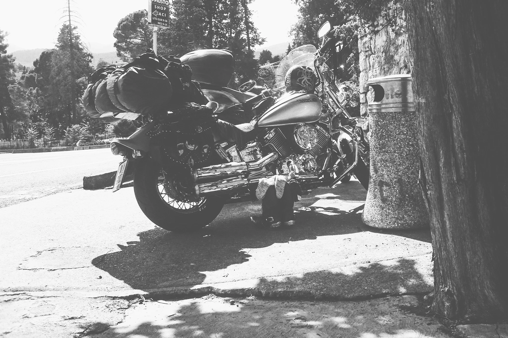 SDC10028.jpg