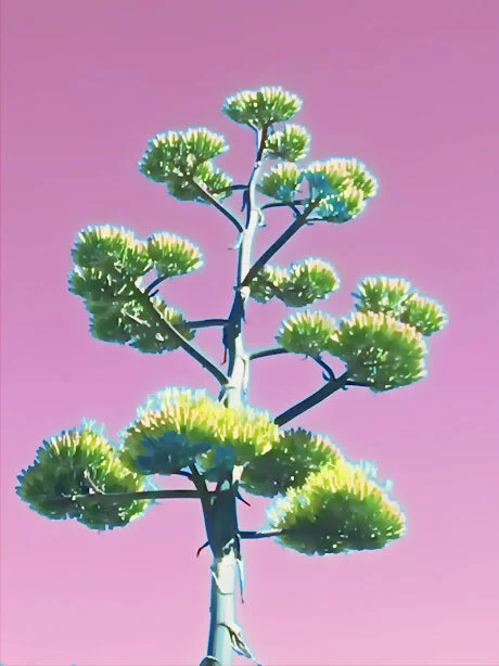 lightX.jpg