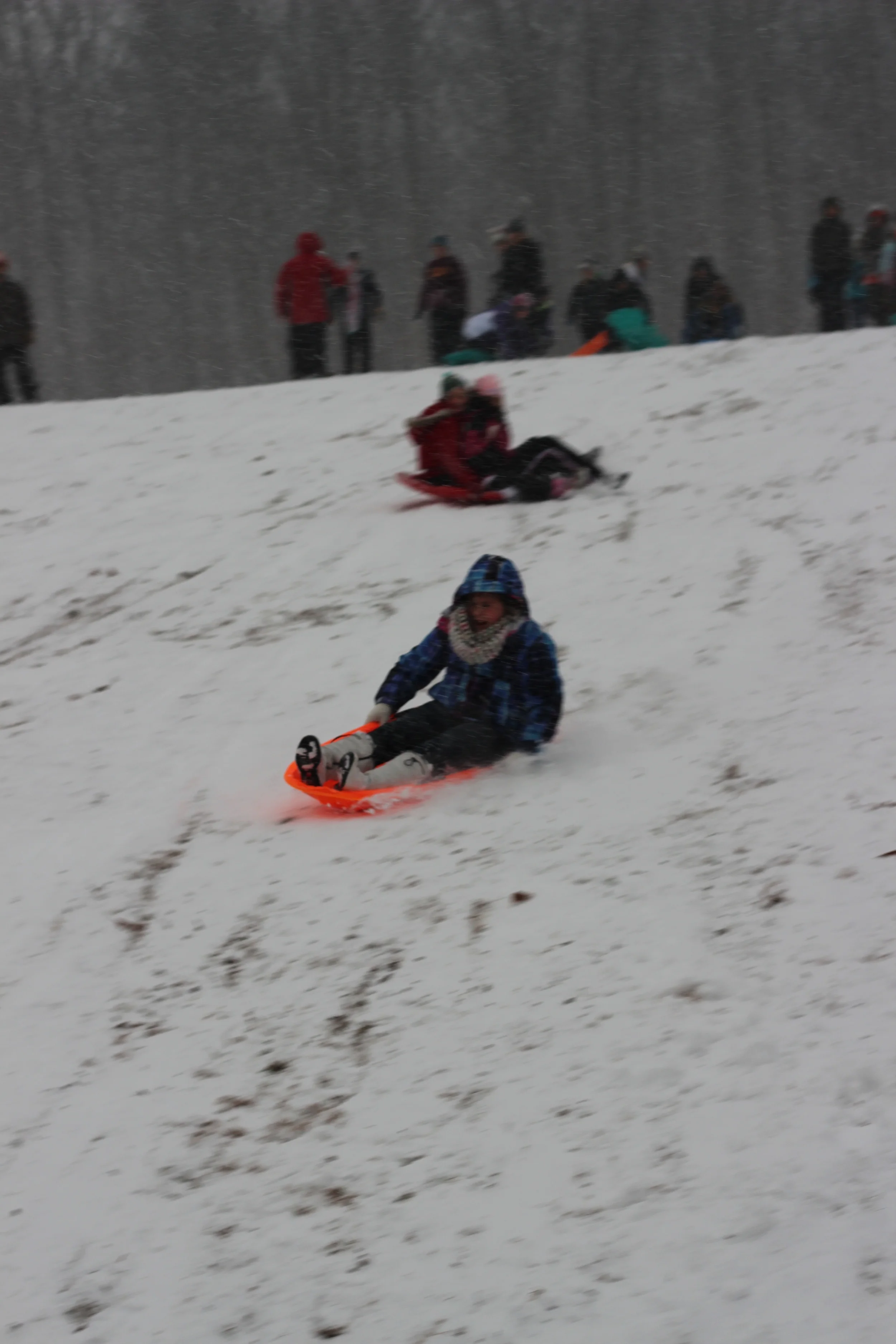IMG_8225.jpg