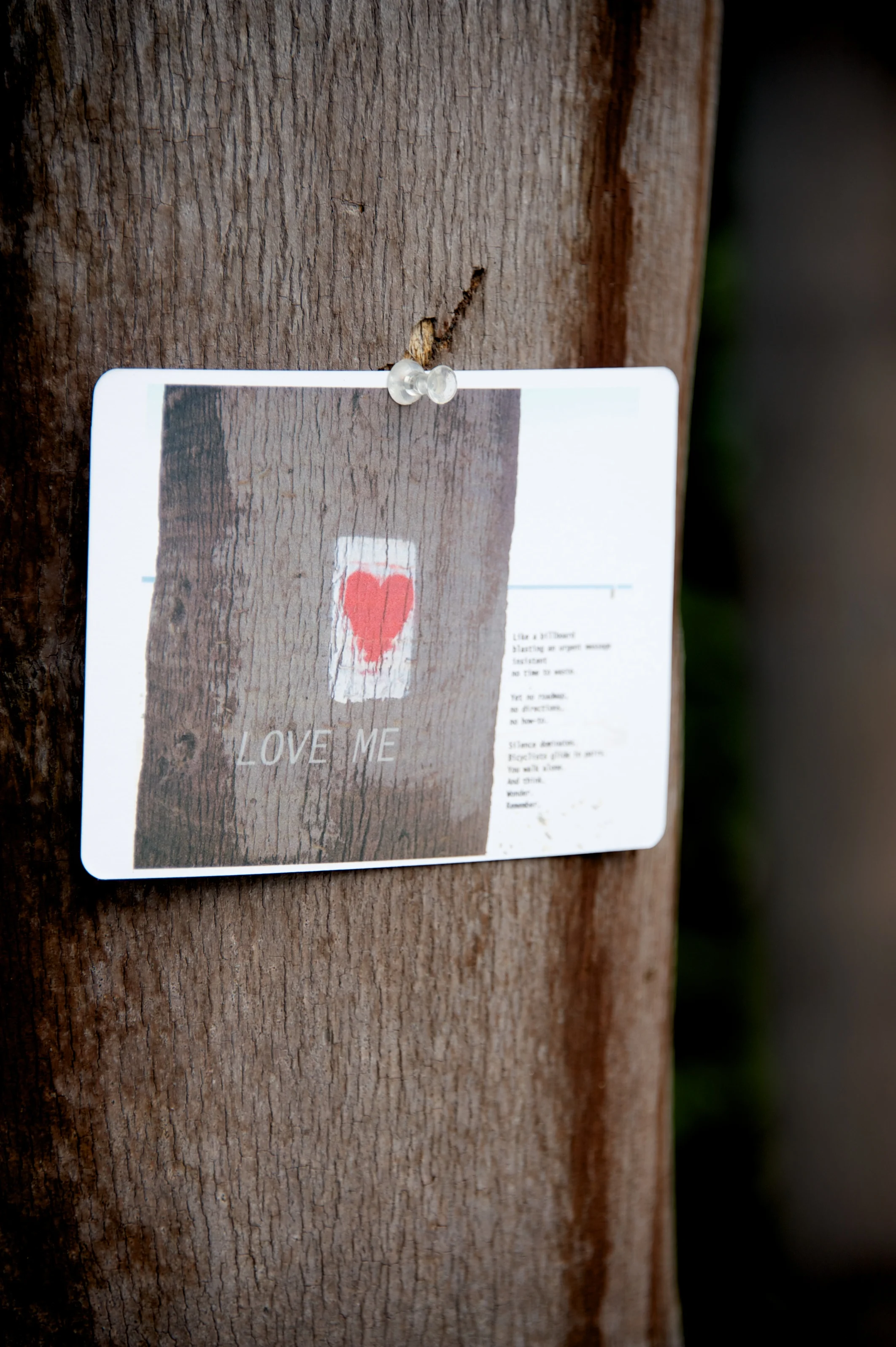 'Love Me' posted on Sunset Ave.