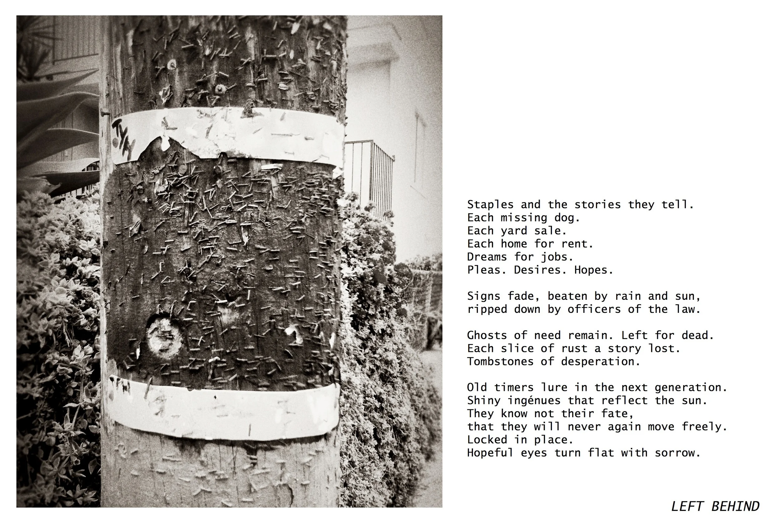 Left Behind 11-15-13 horizontal.jpg