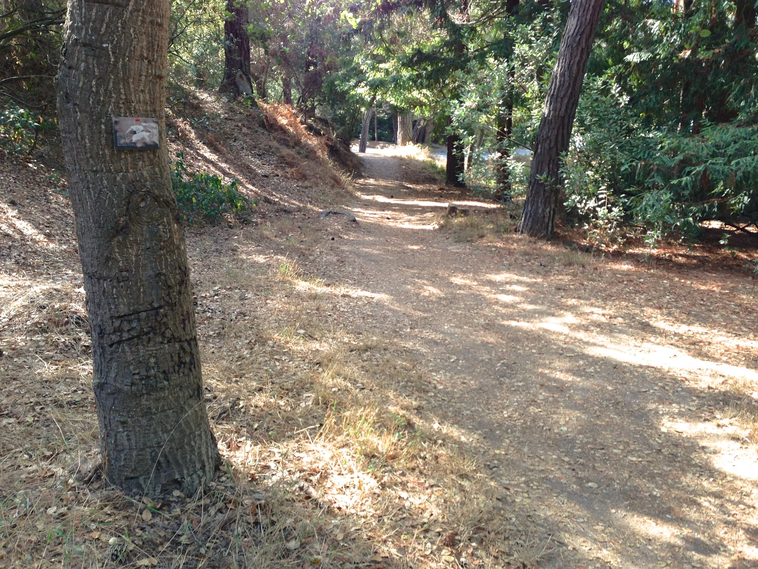 'Listen' in Carmel, CA.