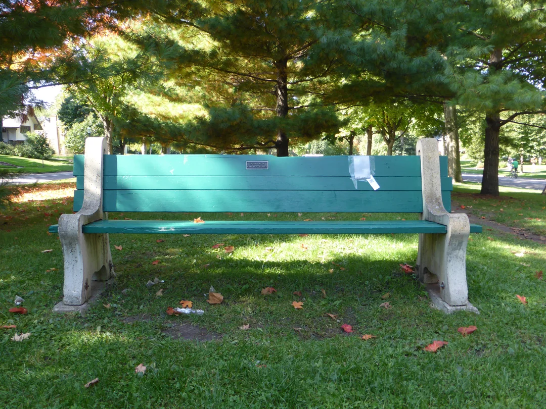 park bench beside a well-used running path