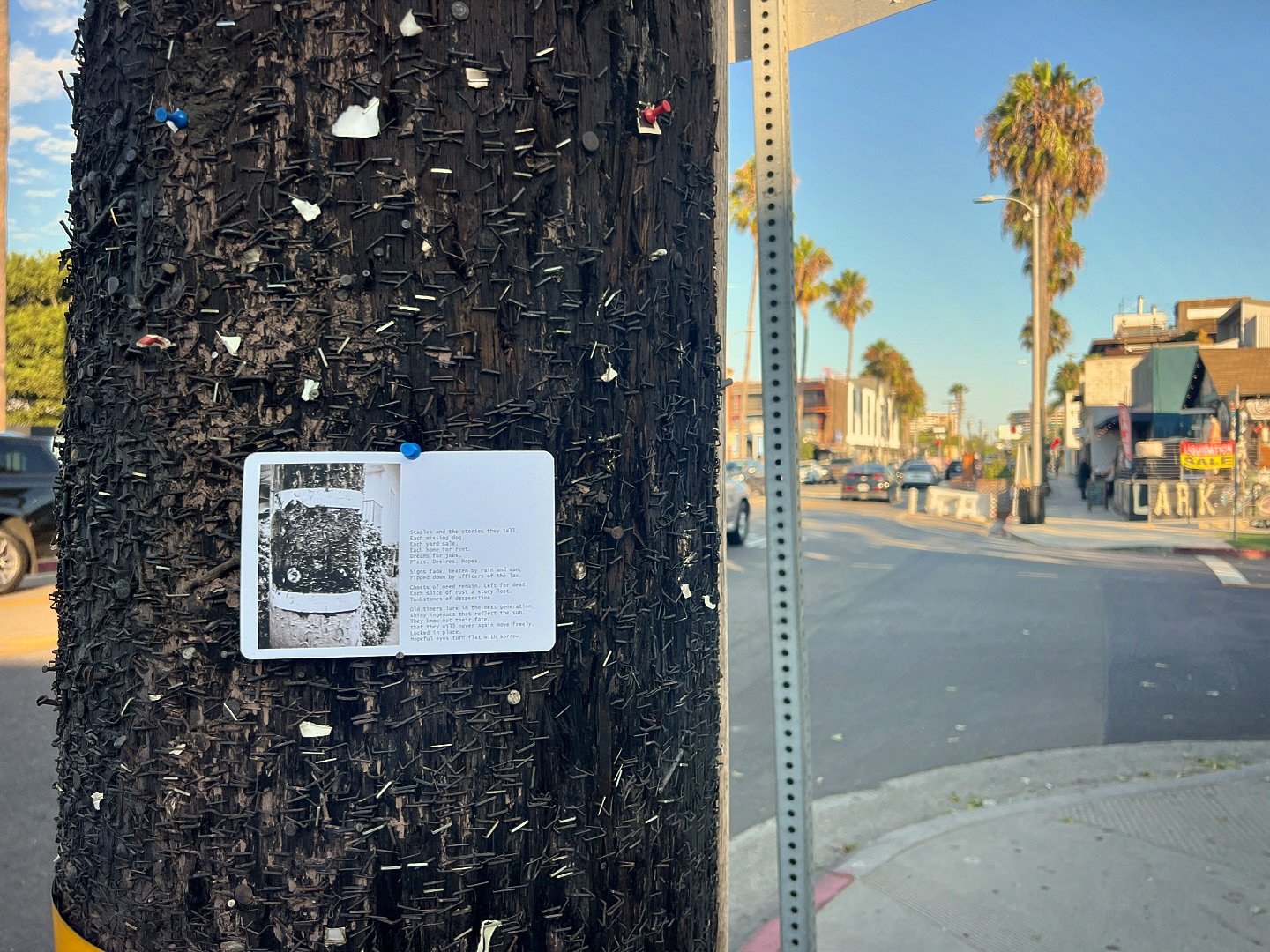 &ldquo;LEFT BEHIND&rdquo;
&lsquo;Staples and the stories they tell.
Each missing dog.
Each yard sale.
Each home for rent.
Dreams for jobs.
Pleas. Desires. Hopes.
Signs fade, beaten by rain and sun, ripped down by officers of the law.
Ghosts of need r