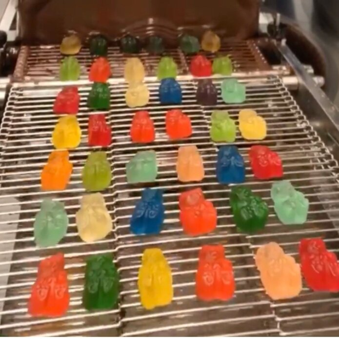 Gummi Bears - Olympia Candy Kitchen