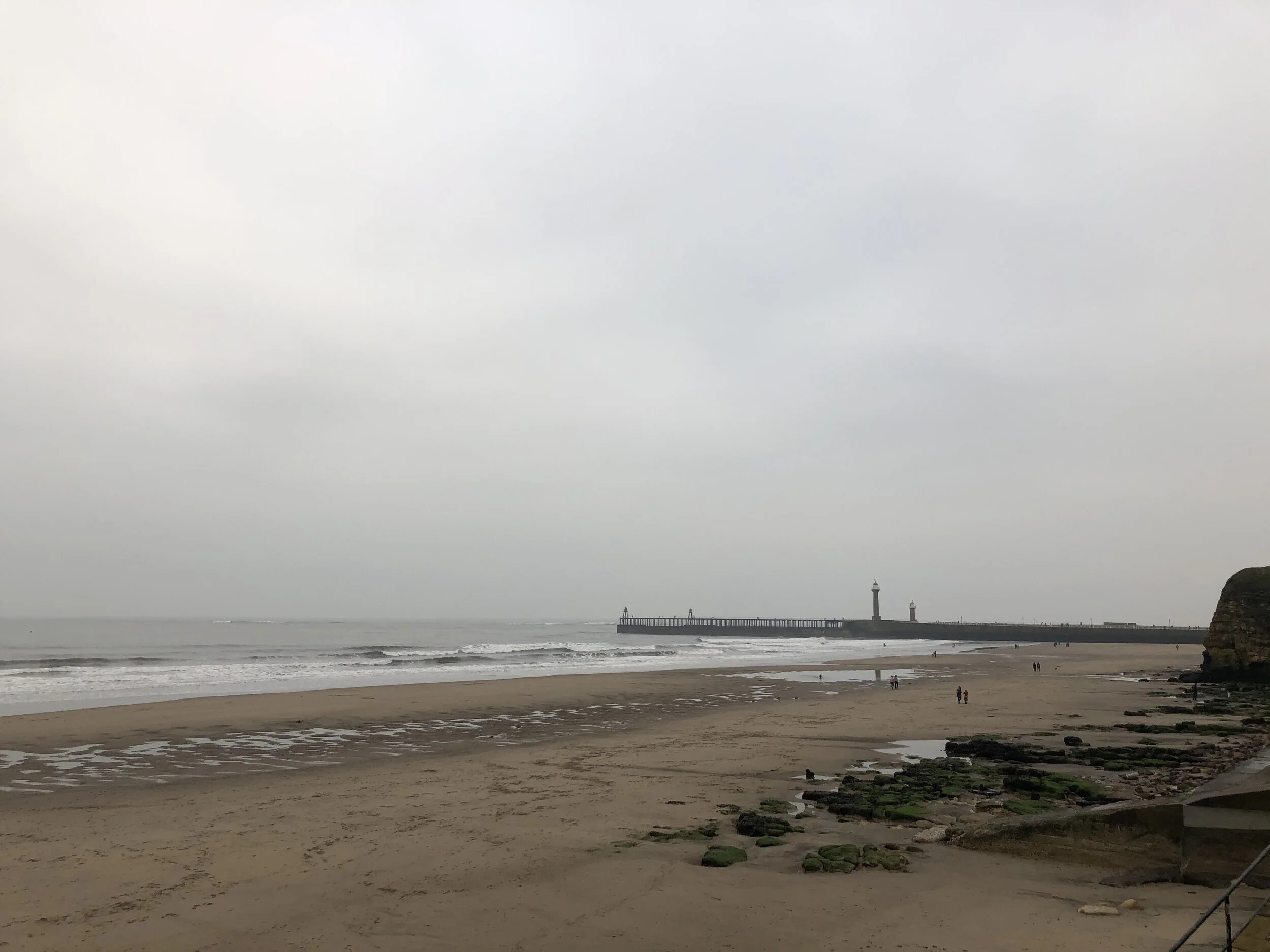 IMG_3595.jpeg