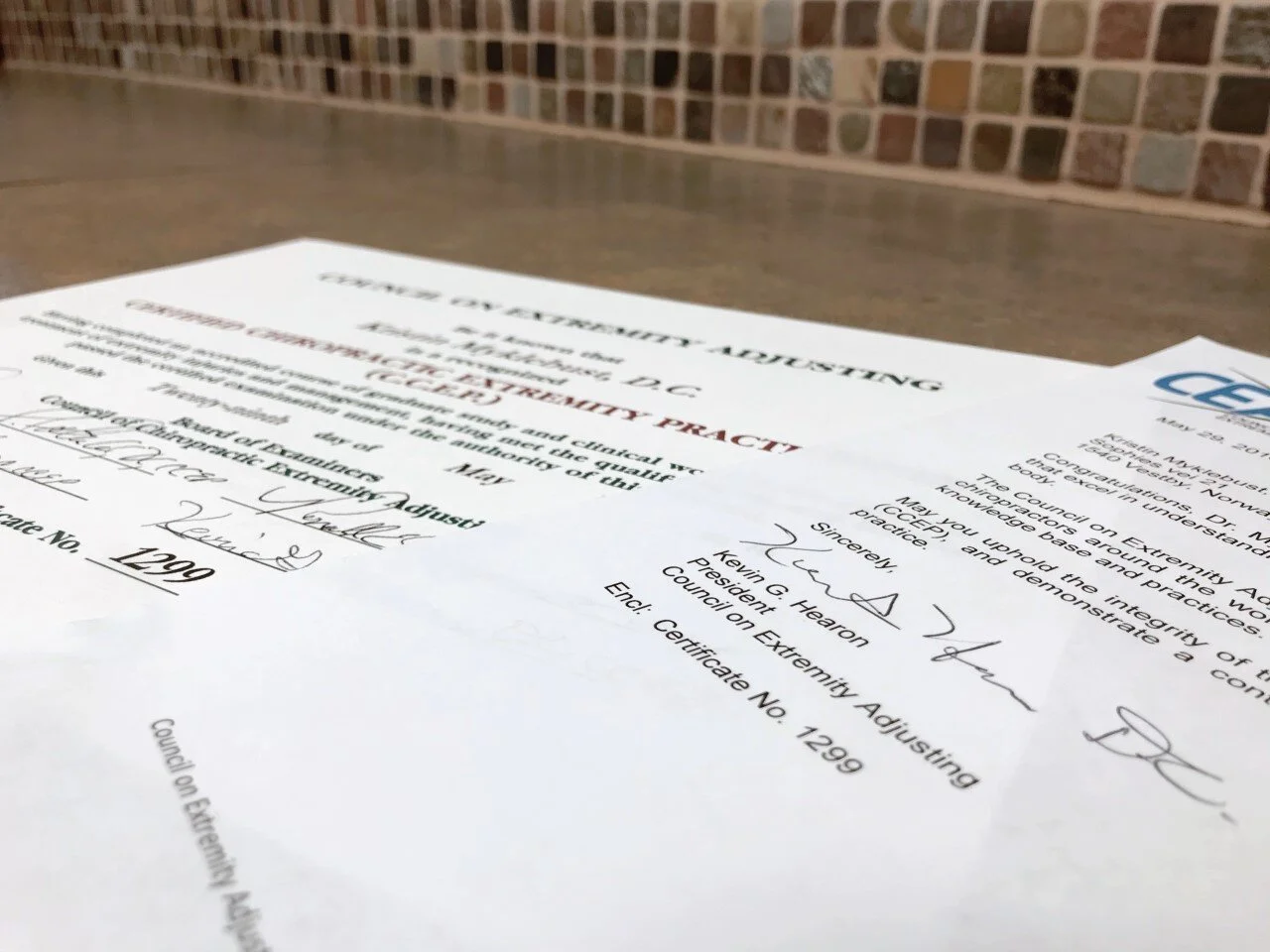 About CCEP — Council On Extremity Adjusting