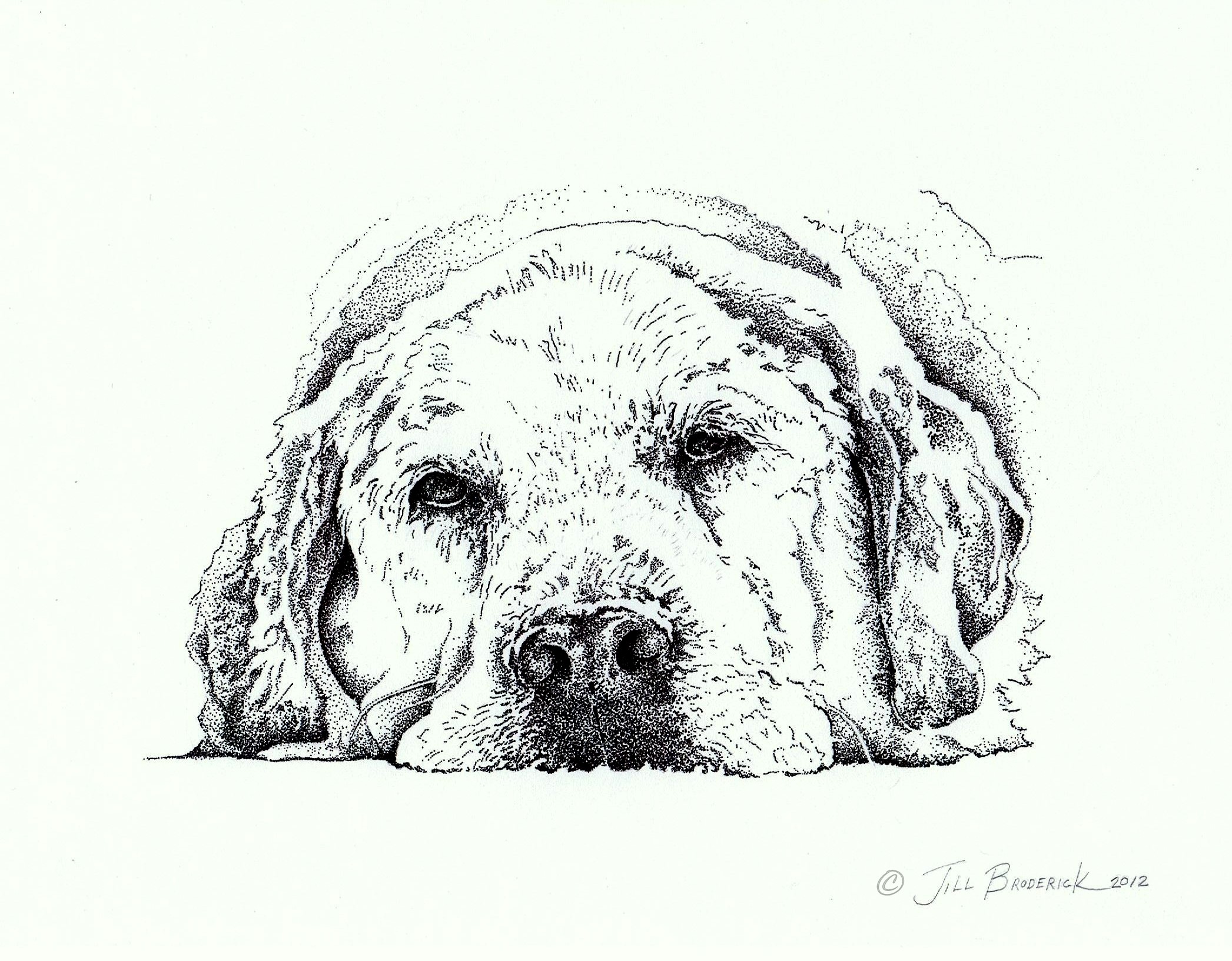 PUP - PEN &amp; INK - 11 X 14 IN - PRIVATE COLLECTION