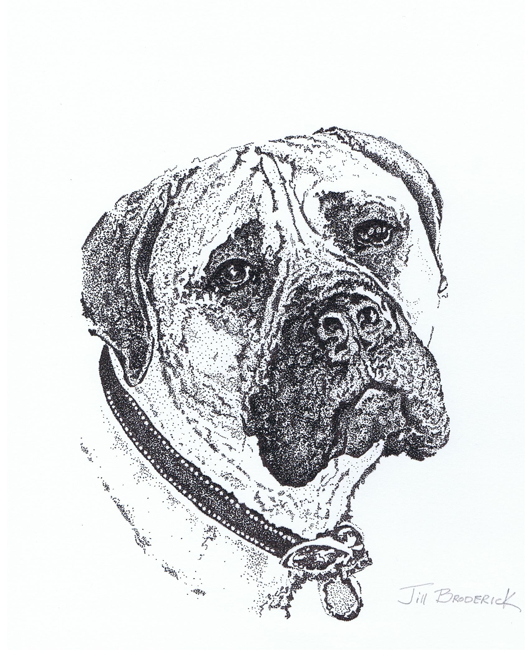 PUP 2 - PEN AND INK - 11 X 14 IN - PRIVATE COLLECTION