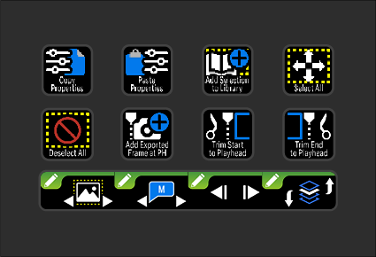 Camtasia 2025 - Iconset Plus - EN - 08.png