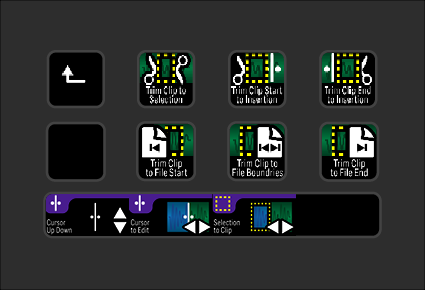 Pro Tools_Icons_Plus_2024_15.png