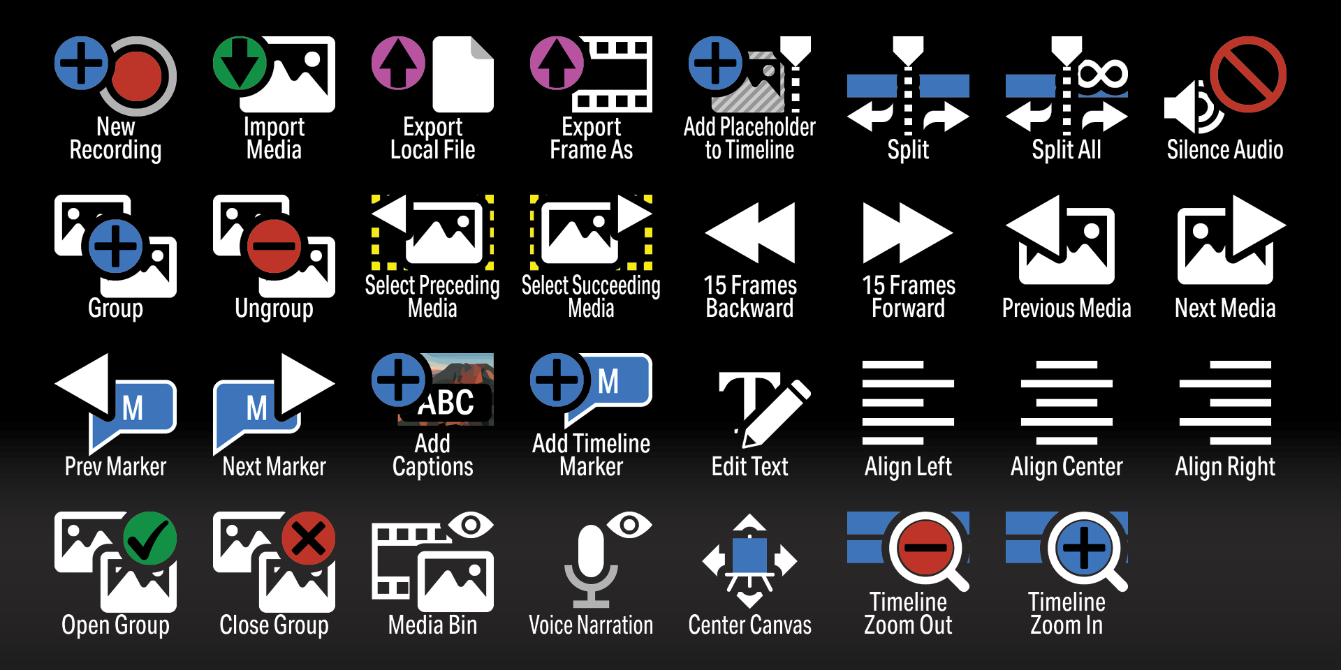 Camtasia Sampler - Icons - Labelled.png