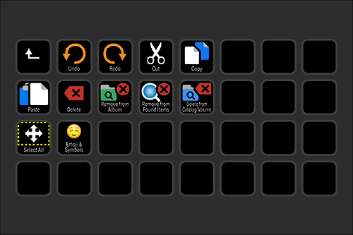 Screenshot of a digital file management interface showing various icons for undo, redo, cut, copy, paste, delete, remove from album, remove from found items, delete, select all, and emoji & symbols.