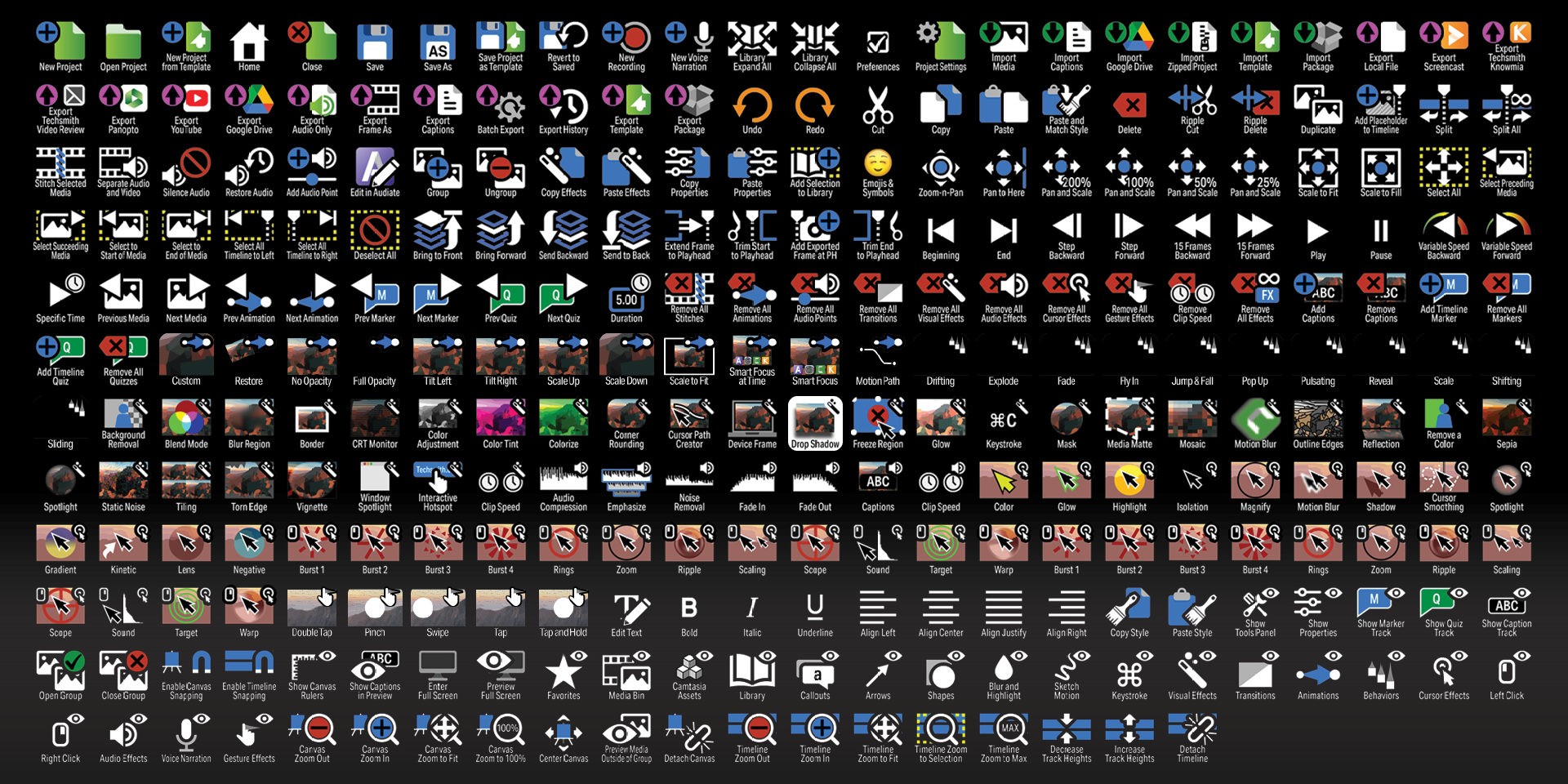 Camtasia - Icons - Labelled.png