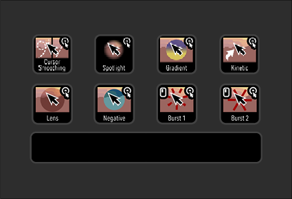 Camtasia 2025 - Iconset Plus - EN - 28.png