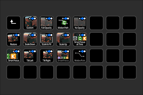 A grid of 18 icons related to animation or camera controls, with some icons indicating functions such as custom, full capacity, motion path, no opacity, restore, scale down, scale to fit, scale up, smart focus at time, smart focus, tilt left, tilt ri