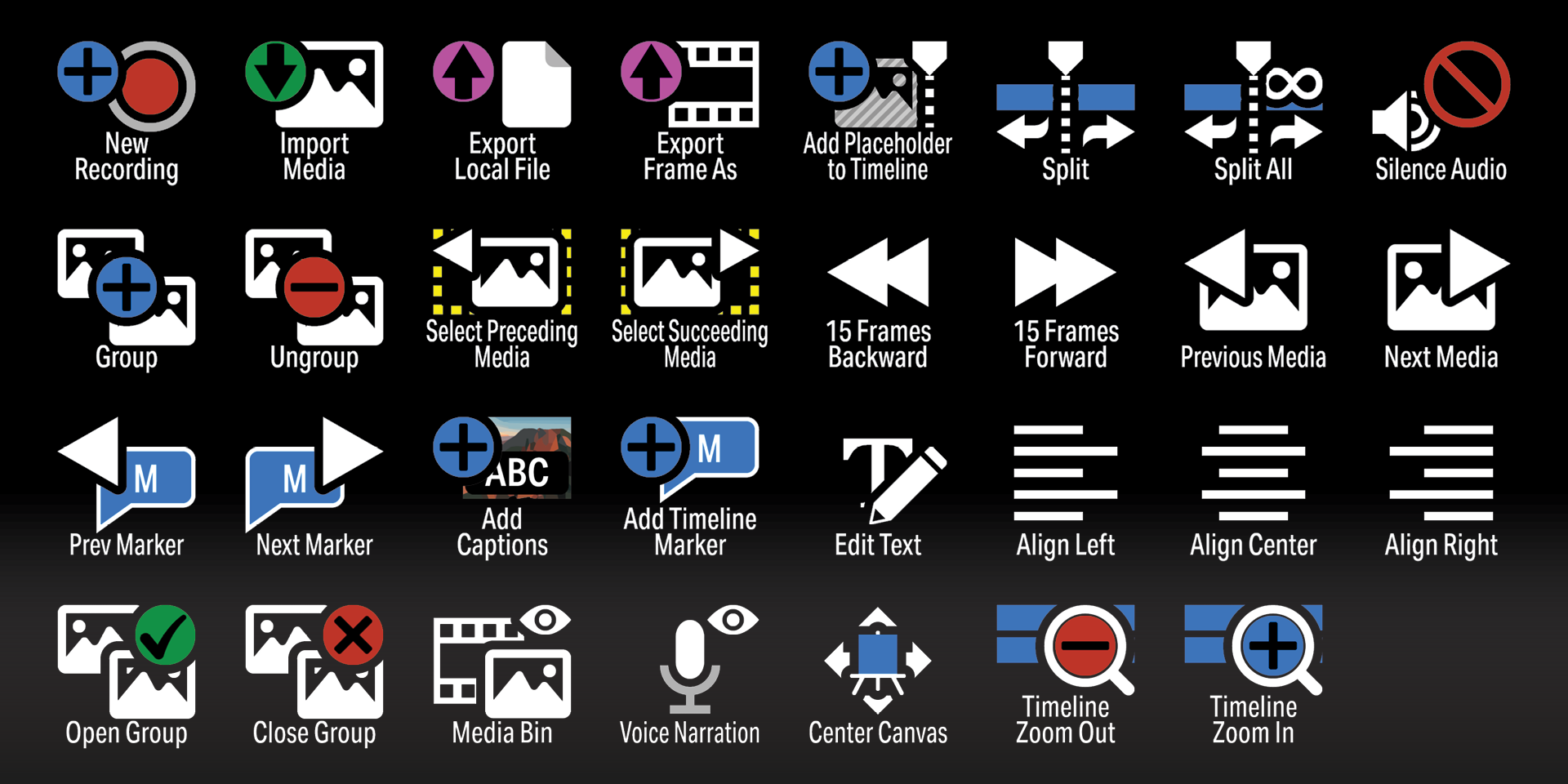 Camtasia 2025 Sampler - Icons - Labelled.png