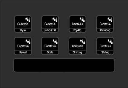 Camtasia 2025 - Iconset Plus - EN - 21.png