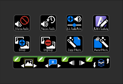 Camtasia 2025 - Iconset Plus - EN - 07.png