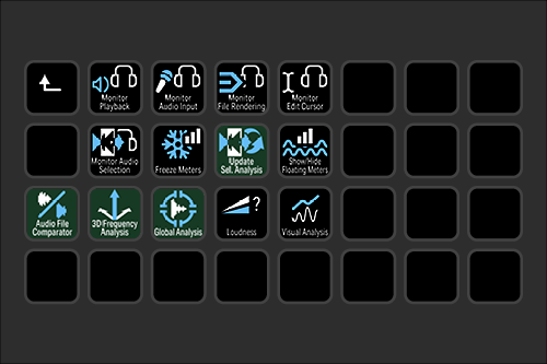 Screenshot of a software interface with multiple icons related to audio and analysis tools, some labeled as Monitor Playback, Monitor Audio Input, Freeze Meters, Global Analysis, and Visual Analysis.