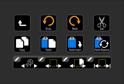 Screenshot of a video editing or playback software interface with icons for undo, redo, cut, copy, paste, paste insert, paste replace, and various playback controls.