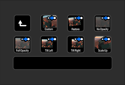 Camtasia 2025 - Iconset Plus - EN - 19.png