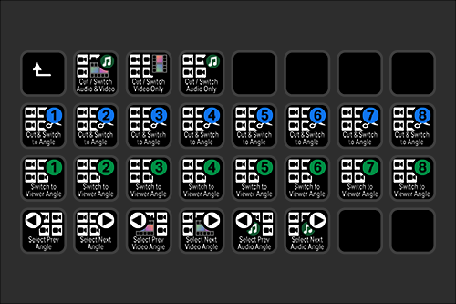 A remote control with multiple labeled buttons for audio and video switching, viewing angles, preview, next, and audio selection functions.