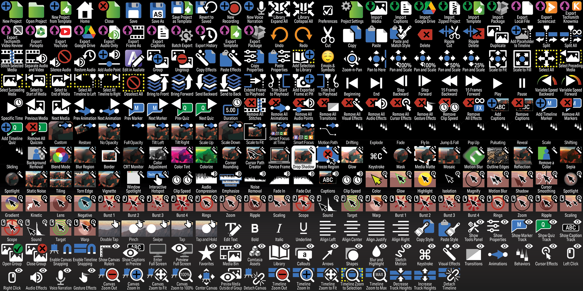 Camtasia 2025 Icons - Labelled.png