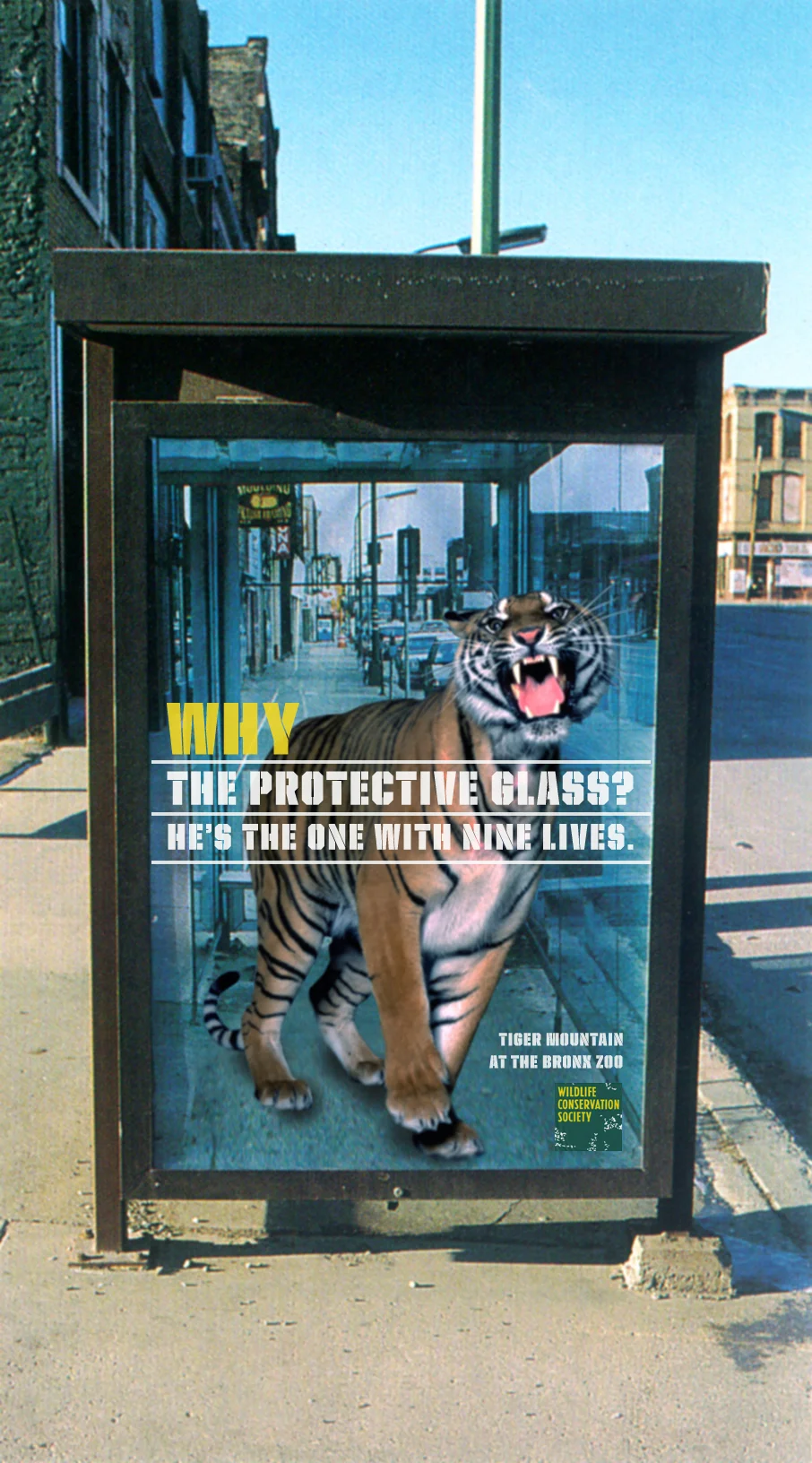  HEADLINE: &nbsp; Why the protective glass? He's the one with nine lives. 