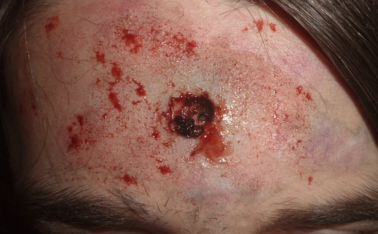 loophole+1.21.19.jpg