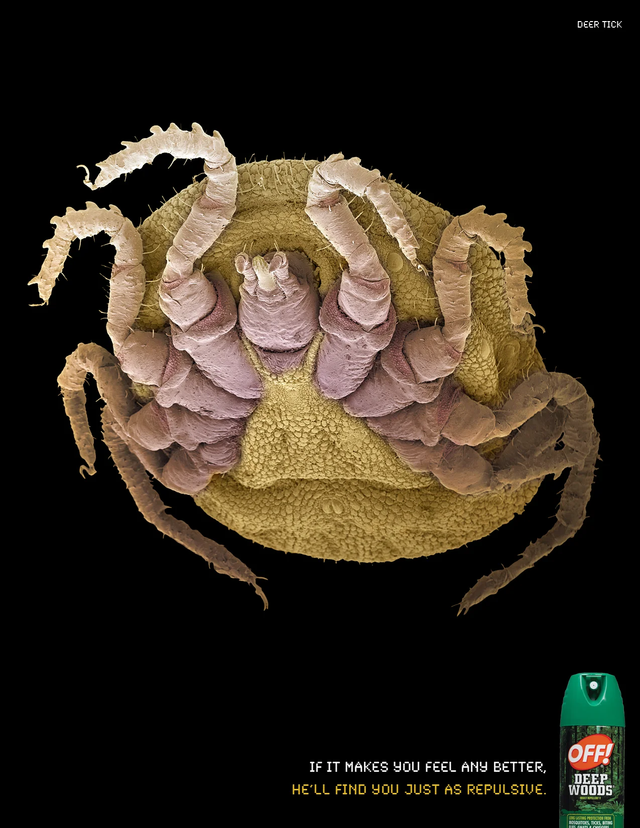 OFF tick s.page.jpg