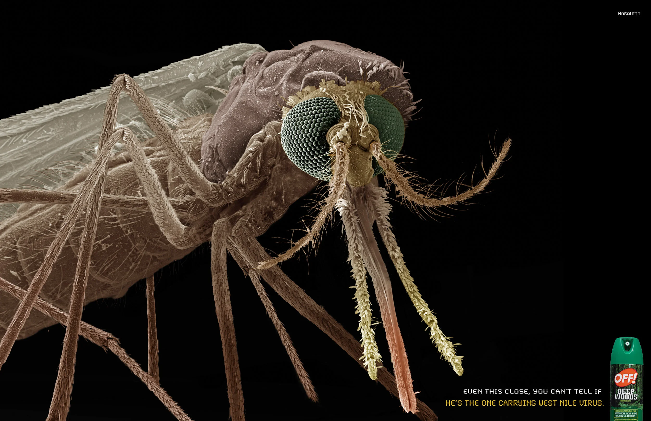 OFF mosquito spread.jpg