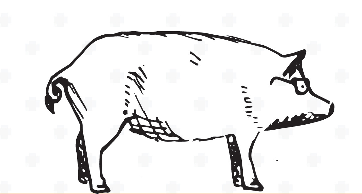 Hipster Pig (Copy)