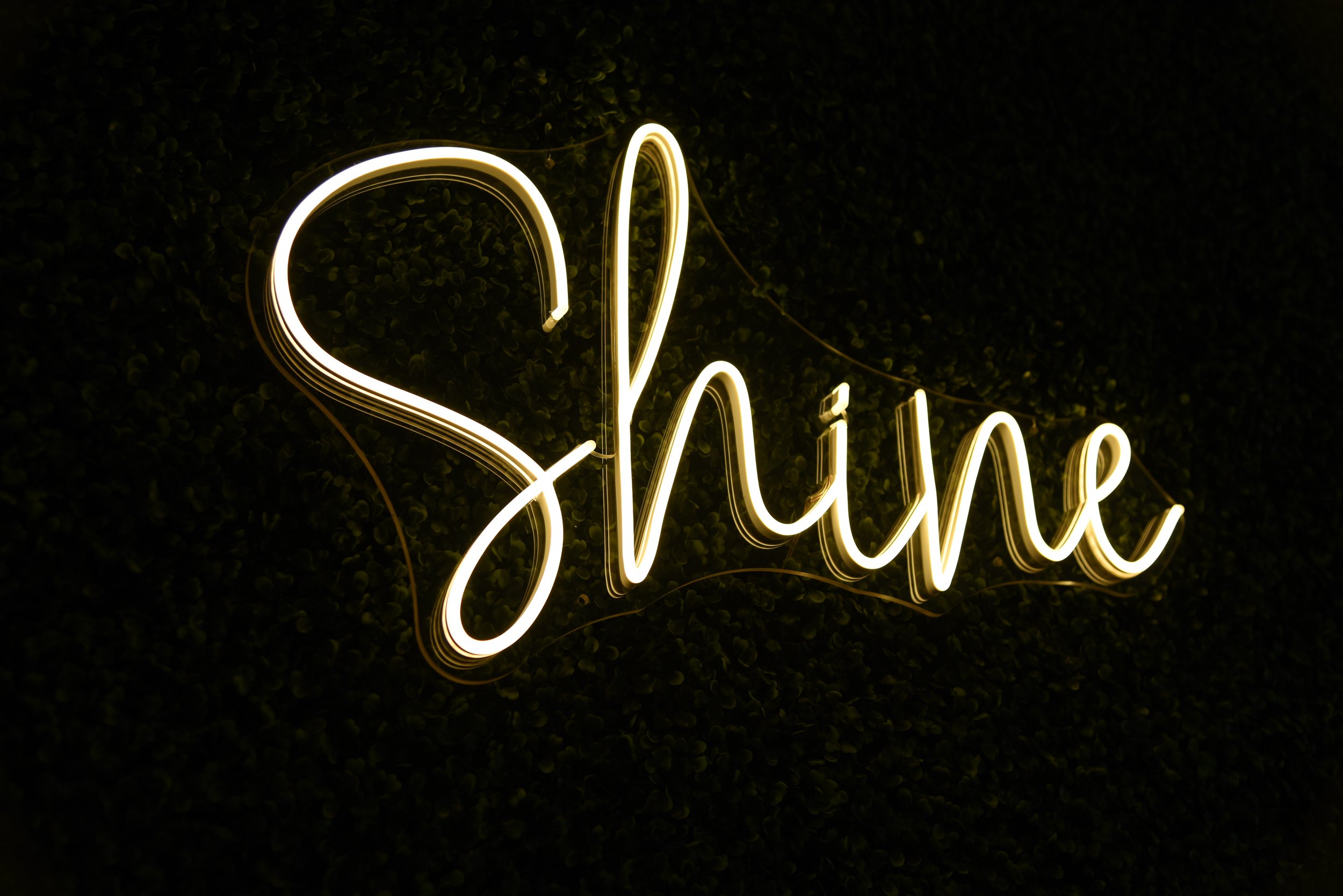 shine-1.jpg