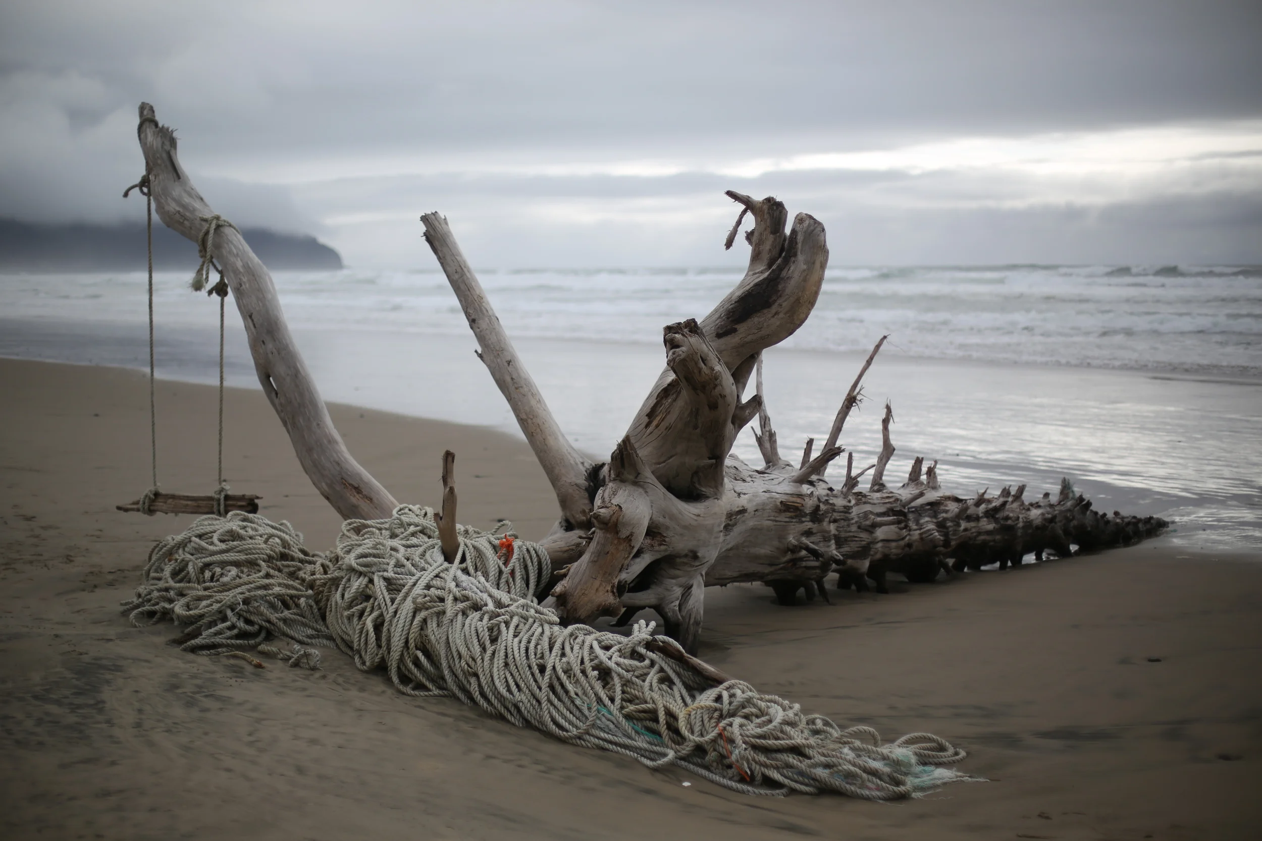  Coils of rope and a homemade swing are seen amongst driftwood on a Oregon Coast near Cape Lookout State Park.&nbsp; 