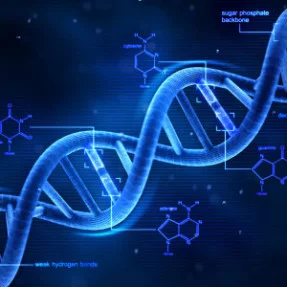 Integrating Life and Practice Life Retreat