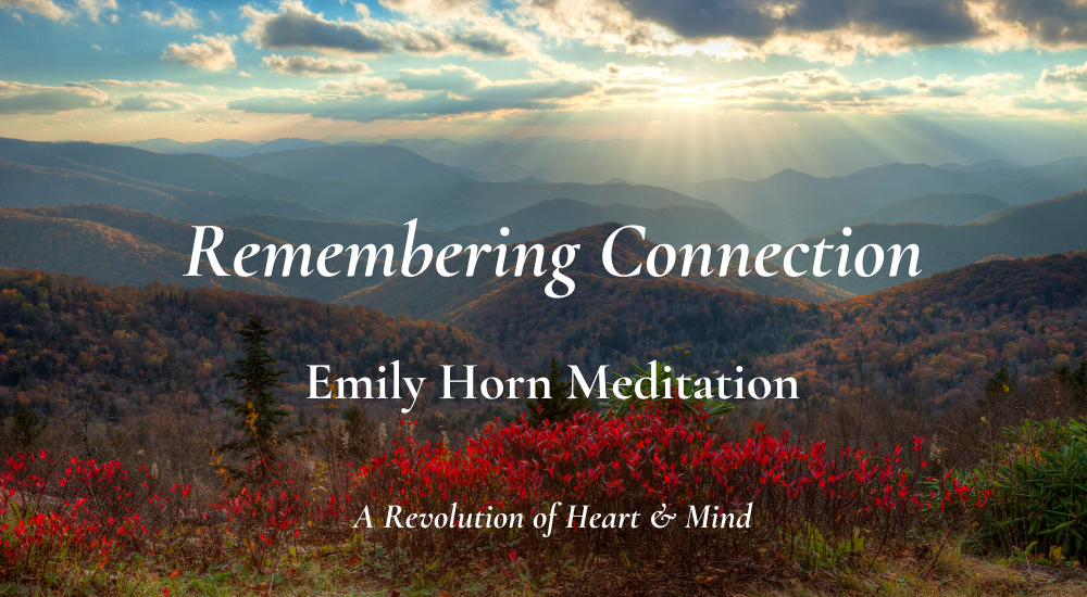 newsletter header.png