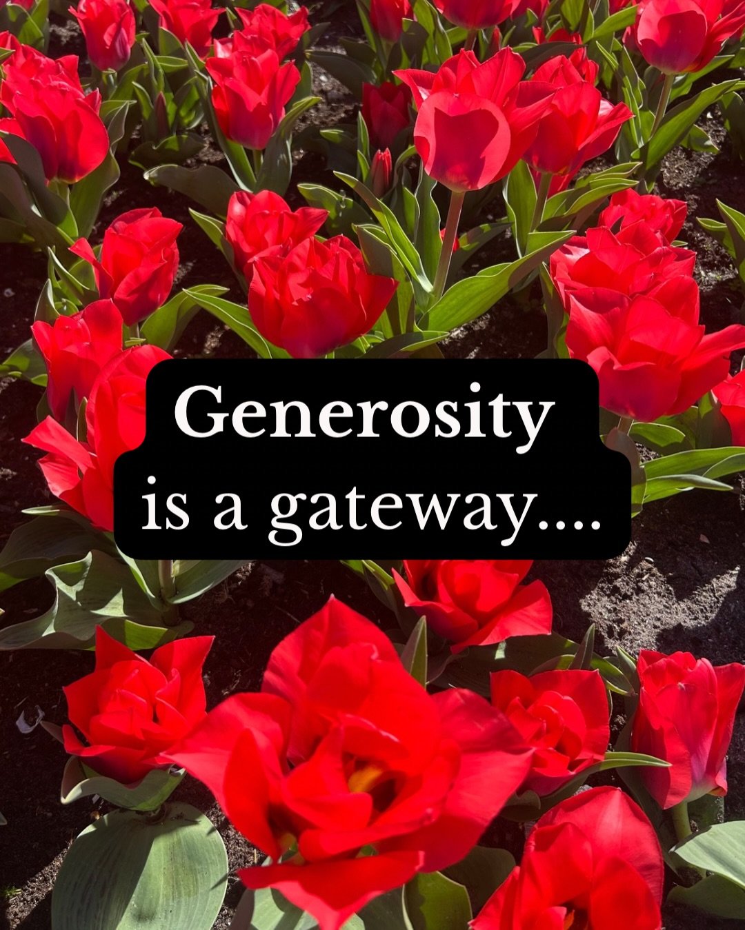 If your practice isn&rsquo;t changing how you live&hellip; what&rsquo;s the point?
The 10 Pāramīs are where Dharma gets real&mdash;
how generosity, truth, patience, and effort actually reshape your nervous system and behavior.
This is about training.