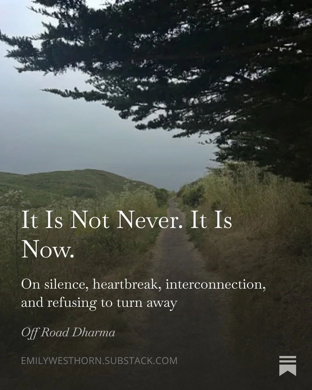 What do we do when heartbreak is here, and the world feels unstable beneath our feet?

I wrote about collective grief, Hurricane Helene, Buddhist practice, silence, Gaza, nervous system overwhelm, and what happens when disillusionment becomes motivat