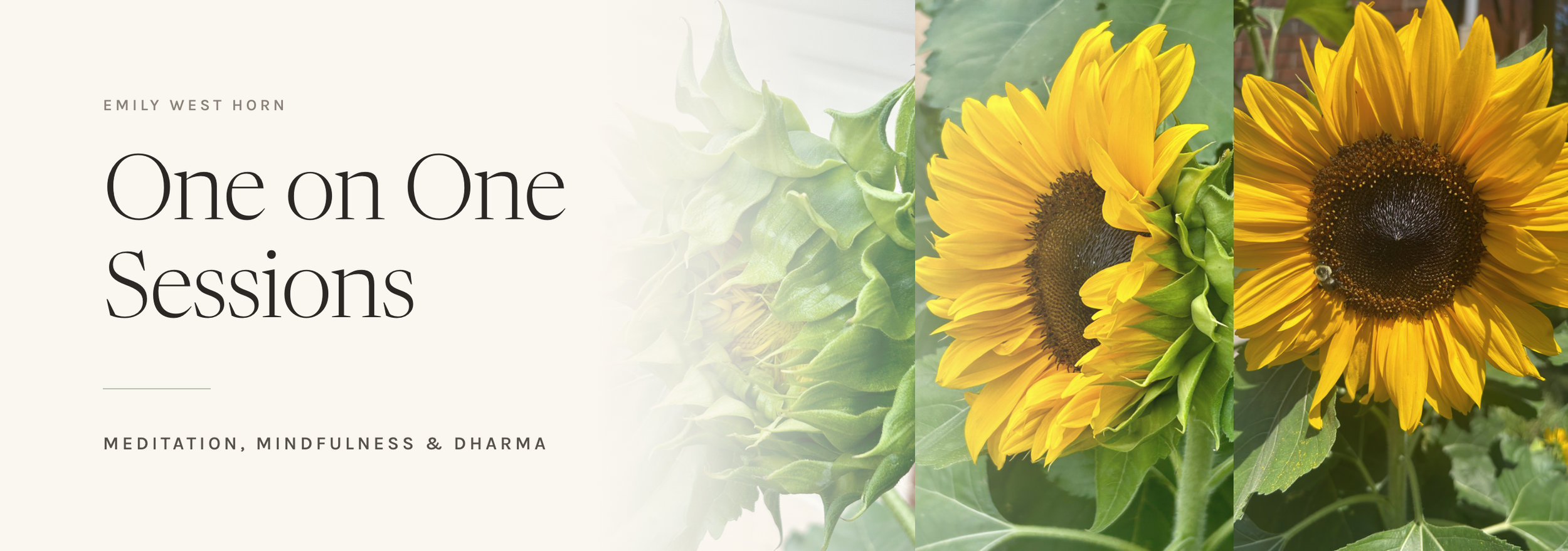 one-on-one-sessions-banner-2560x900.png