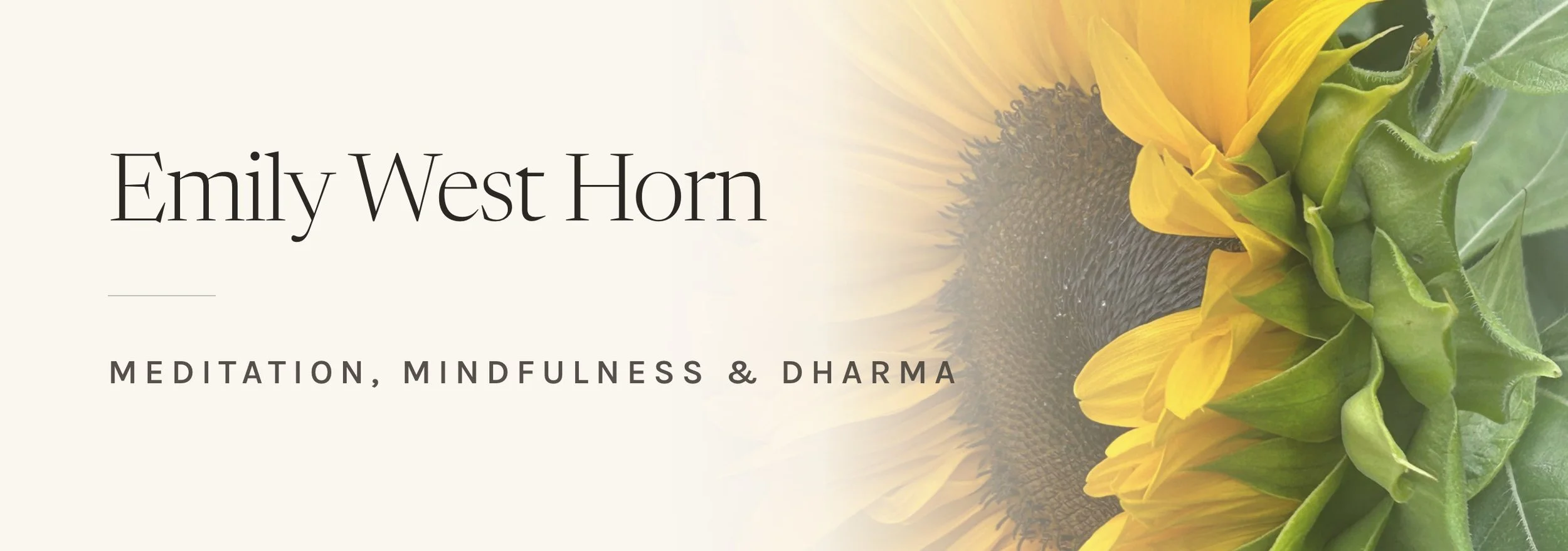 emily-west-horn-banner-2560x900.jpg