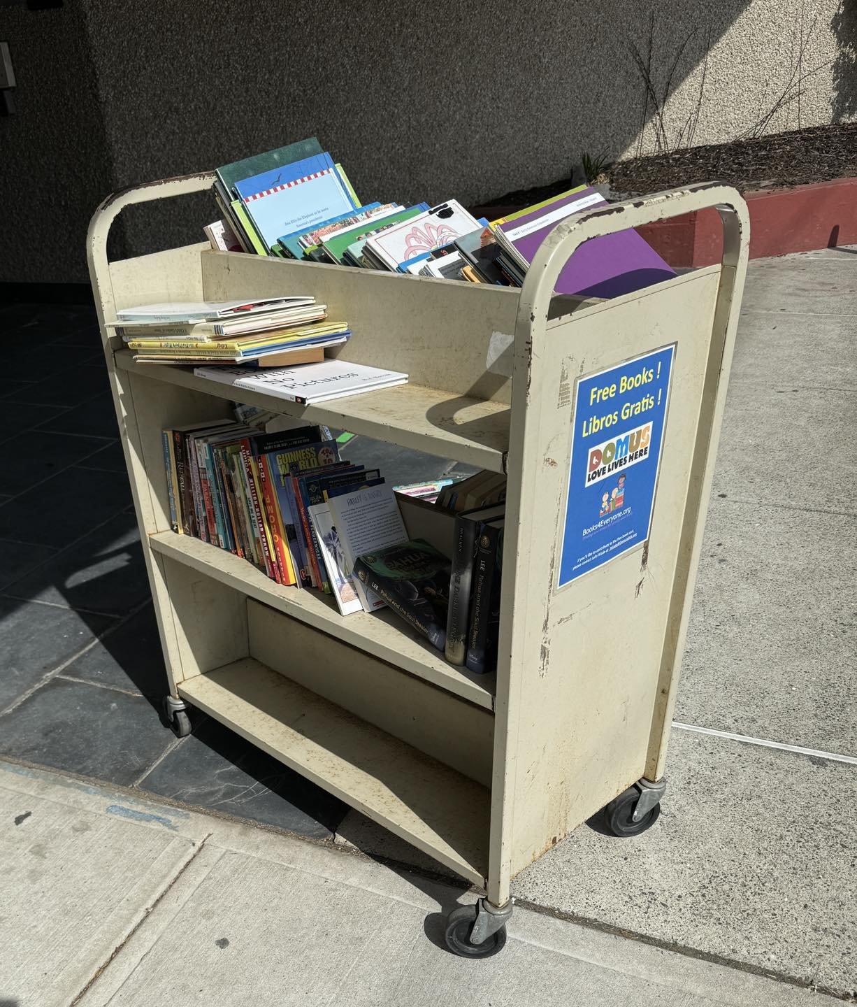Nothing is better than a ransacked cart of kids books at Domus!